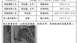 四川新益晨_职业卫生_职业病危害_职业病防护_公共卫生_环境服务_安全咨询_新益晨_XYCDQ-20230039定期检测成都华泽新材料有限公司-1