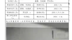 四川新益晨__XYCDQ-20240052职业病危害因素定期检测成都和谐环保投资有限公司