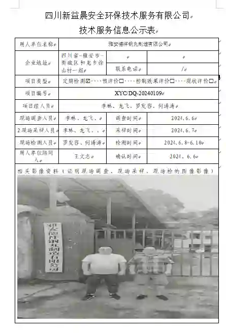 四川新益晨__XYCDQ-20240109职业病危害因素定期检测雅安德祥钢丸制造有限公司