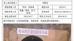 四川新益晨__XYCXP-20240048职业病危害现状评价四川省会东满银沟矿业集团有限公司