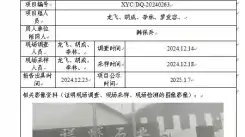 新益晨_[XYCDQ-20240263][职业病危害定期检测]青川县祥辉石业有限公司.docx - WPS Office_2025-01-07