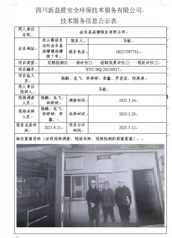 新益晨_XYCDQ-20250017职业病危害定期检测会东县淌塘铜业有限公司