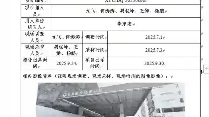 _XYCXP-20250060职业病危害现状评价九龙县兴达加油站