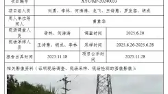 _XYCKP-20240033职业病危害现状评价四川鸿茂兴科技有限公司