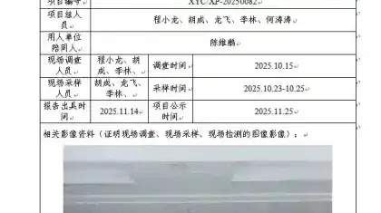新益晨_XYCXP-20250082职业病危害现状评价邛崃市深恒再生资源有限公司