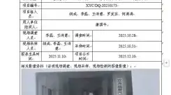 新益晨_XYCDQ-20250173职业病危害定期检测宜宾盛唐汽车销售服务有限公司
